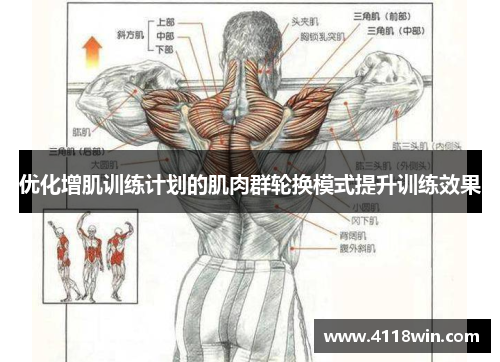 优化增肌训练计划的肌肉群轮换模式提升训练效果