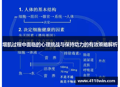 增肌过程中面临的心理挑战与保持动力的有效策略解析