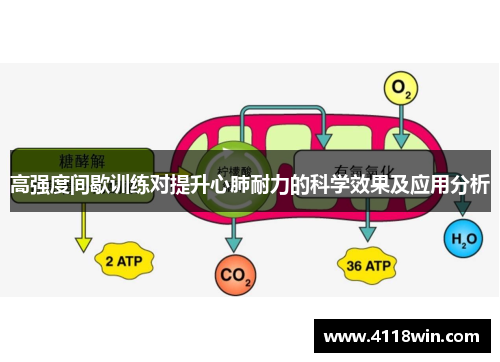 高强度间歇训练对提升心肺耐力的科学效果及应用分析